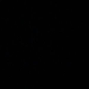 Meet your Posher, Destiny